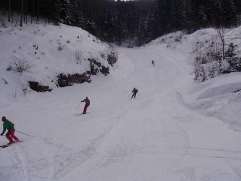 Winter scene at Igrišta, Vlasenica, featuring a skier gliding down the snow-covered slopes of the ski resort, with a quaint chalet nestled amidst the landscape.