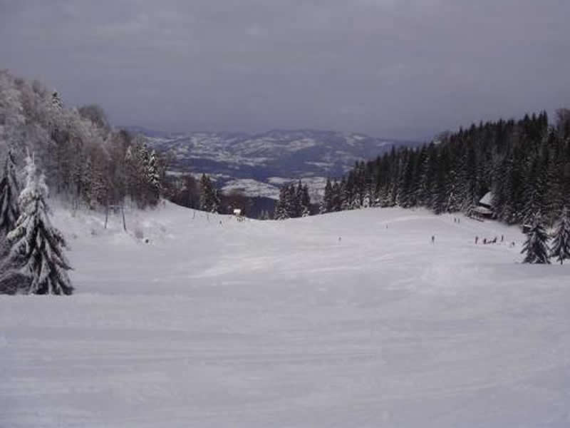 Ski resort in Igrišta, Vlasenica, with skiers enjoying the winter sports scene. A chalet sits nestled amidst the snowy landscape offering a picturesque winter scenery.
