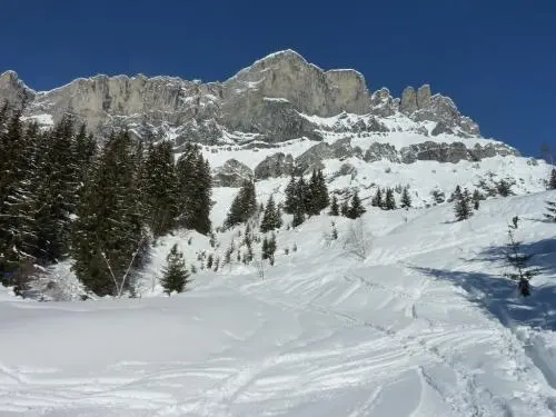 A skier glides down a snowy slope at Passy Plaine-Joux ski resort in France. Majestic mountains loom in the distance with a quaint chalet nestled nearby creating an idyllic winter sports scene.