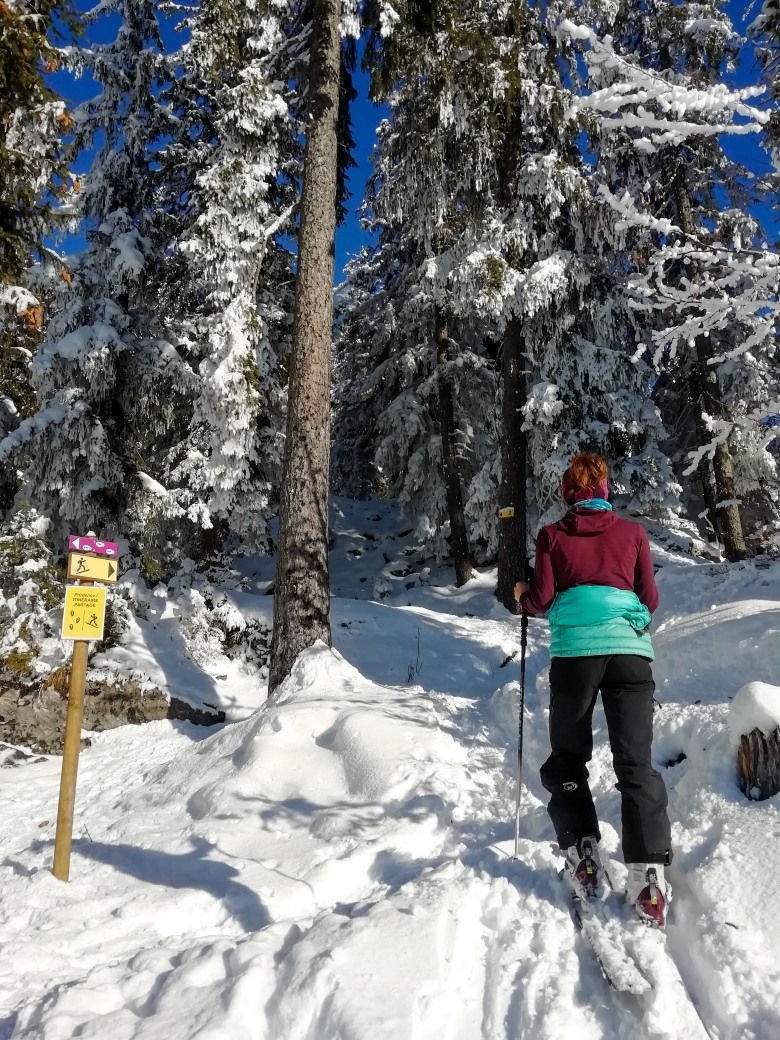 Winter sports scene at Passy Plaine-Joux in France featuring a skier and a family enjoying skiing. A chalet and a ski lift add to the atmosphere of this picturesque destination.