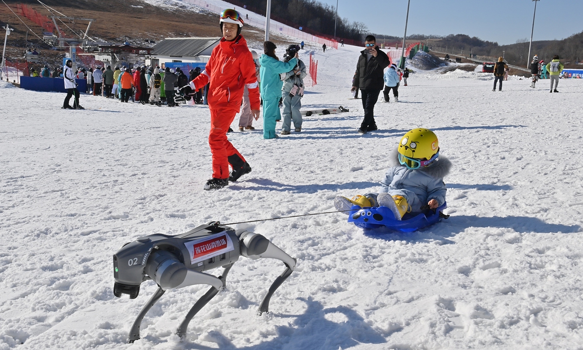 Lianhuashan Ski Resort in China - a small child on a sler being pulled by a dog.