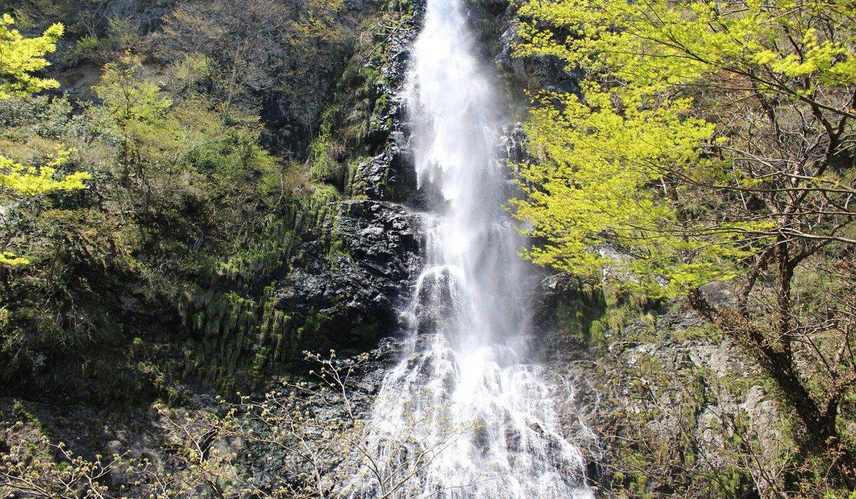 Wakasugi Kogen Oya in Japan - a waterfall in the middle of a forest.