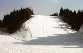 A skier glides down the slopes of Taiheizan Opas a bustling winter sports centre in Nibetsu Japan. The scene includes a picturesque chalet emblematic of the ideal ski resort setting.