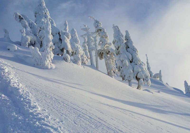 A skier mid-action at the Mount Cain Alpine Park in Vancouver Island, surrounded by a picturesque winter landscape, complete with a ski resort and a snowmobile in the backdrop.