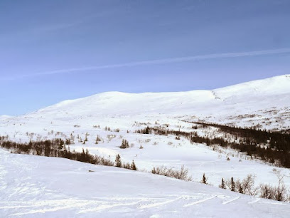 Skier enjoying a snowy day at the Ljungdalen ski resort in Northern Sweden featuring a picturesque winter scenery and bustling winter sports scene.