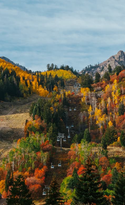 View of Snowbasin ski resort in Utah highlighting a snow-covered mountain under a clear sky. Features include a ski lift a winter sports scene and a challet visible in the backdrop.