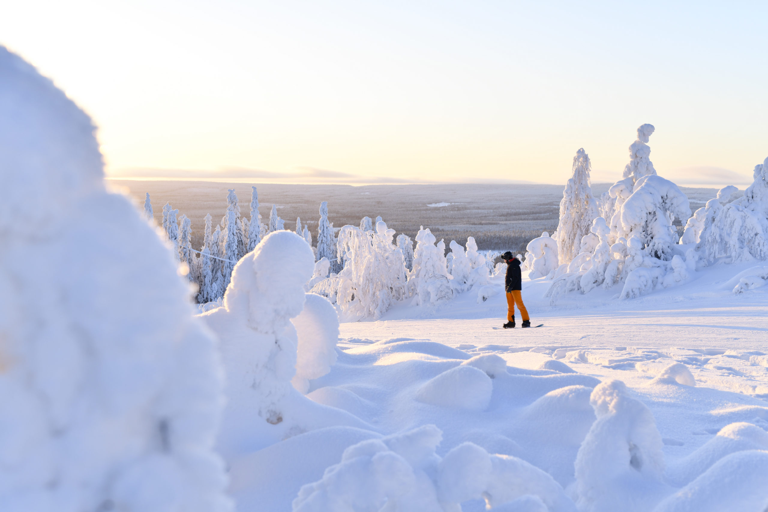 Winter sports enthusiasts skiing and snowboarding amidst stunning winter scenery at Ukkohalla, Kainuu, East Finland, with snow-covered trees and hills.