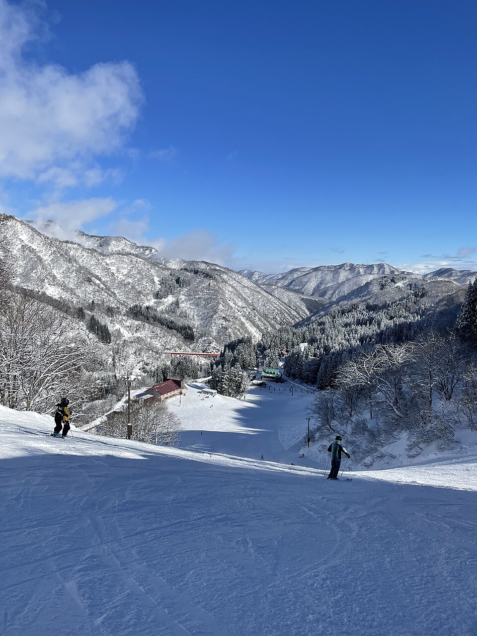 Taira in Japan - a group of people skiing down a snowy slope.