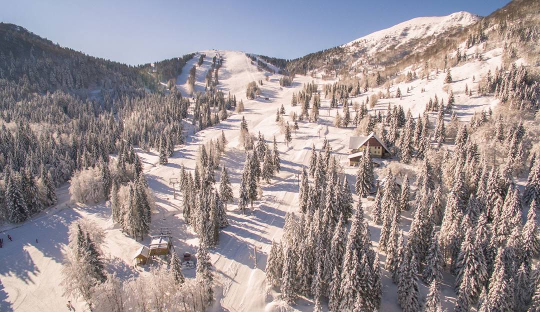Soriška Planina in Slovenia - a snow covered mountain with trees in the fore.