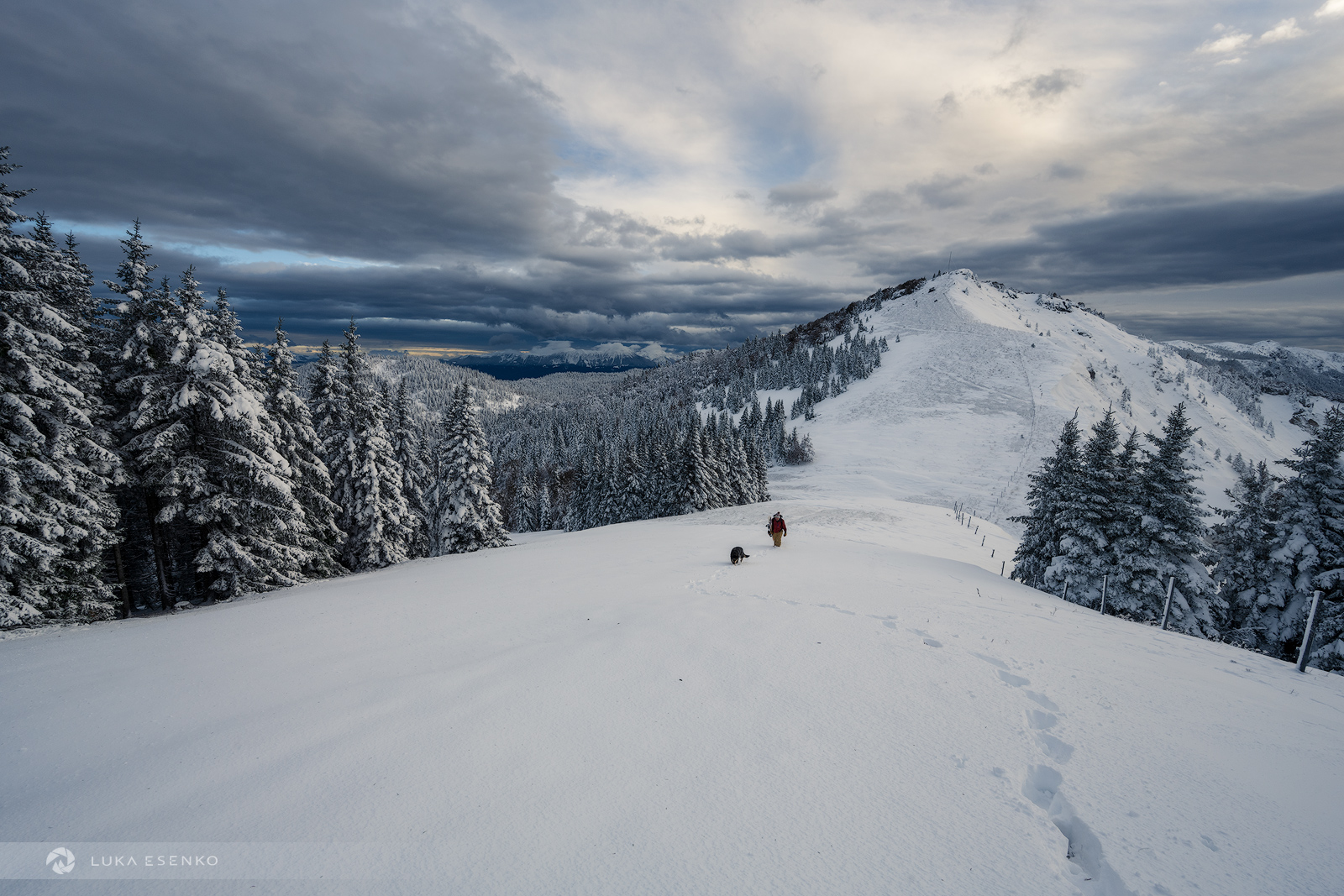 Soriška Planina in Slovenia - a person skiing down a snowy slope in the mountains.