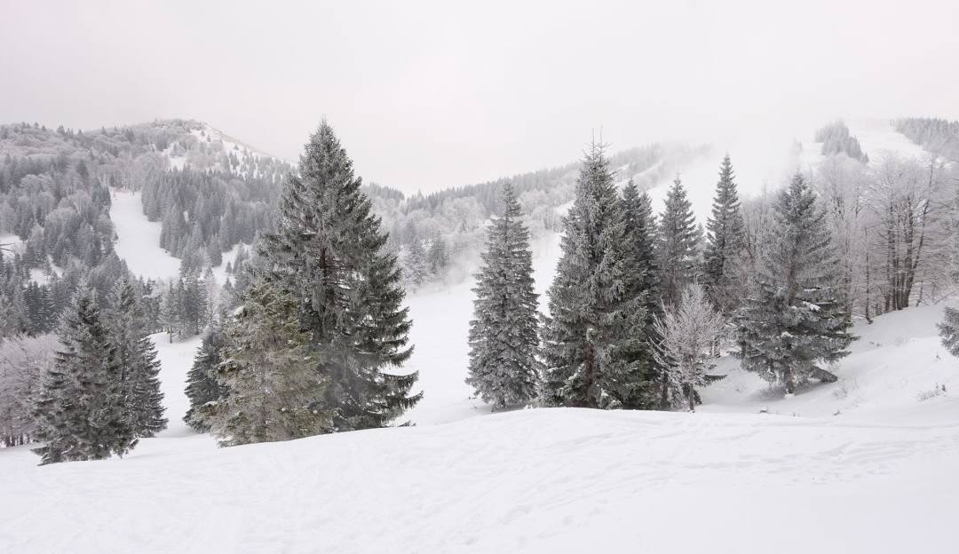 A winter sports scene at Soriška Planina in Slovenia, featuring stunning winter scenery with a ski resort, a chalet, and a beautiful snow-covered landscape.