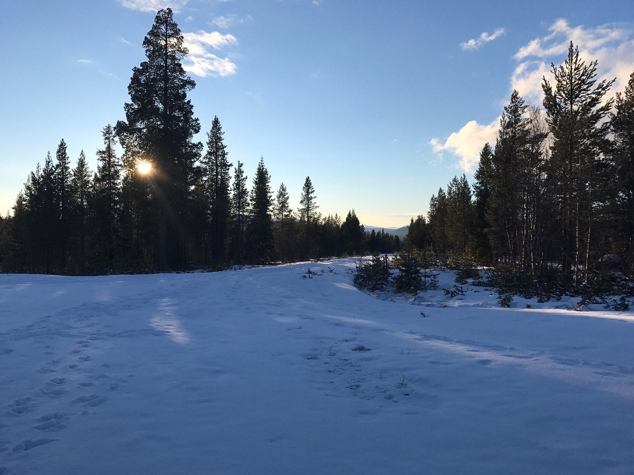Sunny winter scene at Tännäskröket in Northern Sweden. The picture captures a bustling ski resort set against a stunning wintry landscape, under a clear blue sky.