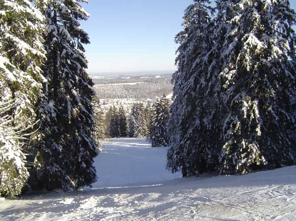 Winter sports scene at Tramelan, Switzerland featuring a charming chalet amid snowy scenery. A nearby ski resort and lift enhance the winter ambience.