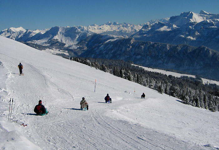 Beatenberg-Niederhorn in Switzerland - a group of people skiing down a snow covered mountain.