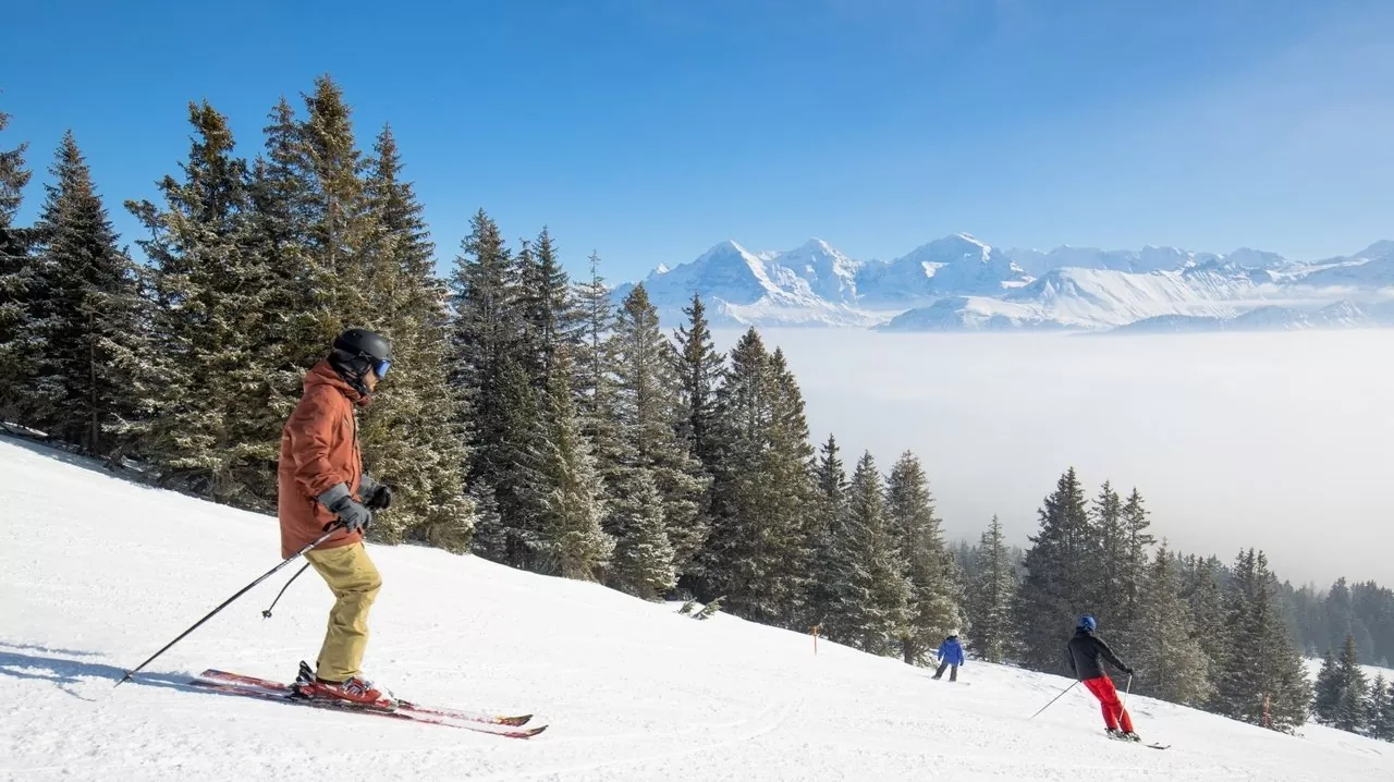 A skier gracefully descending the snowy slopes at the Beatenberg-Niederhorn ski resort in Switzerland amid a scenic winter landscape. Families and snowboarders also enjoy the snowy sports scene.