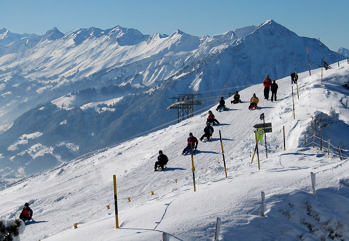 Beatenberg-Niederhorn in Switzerland - a group of people skiing down a snowy mountain.