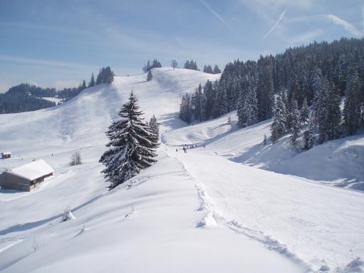 A cozy challet nestled in Hochhäderich Austria surrounded by a winter wonderland. The ski resort buzzes with activity as winter sports enthusiasts enjoy the snowy weather.
