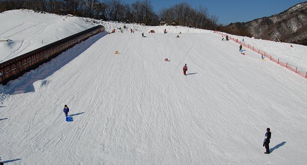 A winter sports scene at a centre in Osa, Japan featuring a skier on the slopes near a charming chalet, amidst the snow-blanketed landscape of a ski resort.
