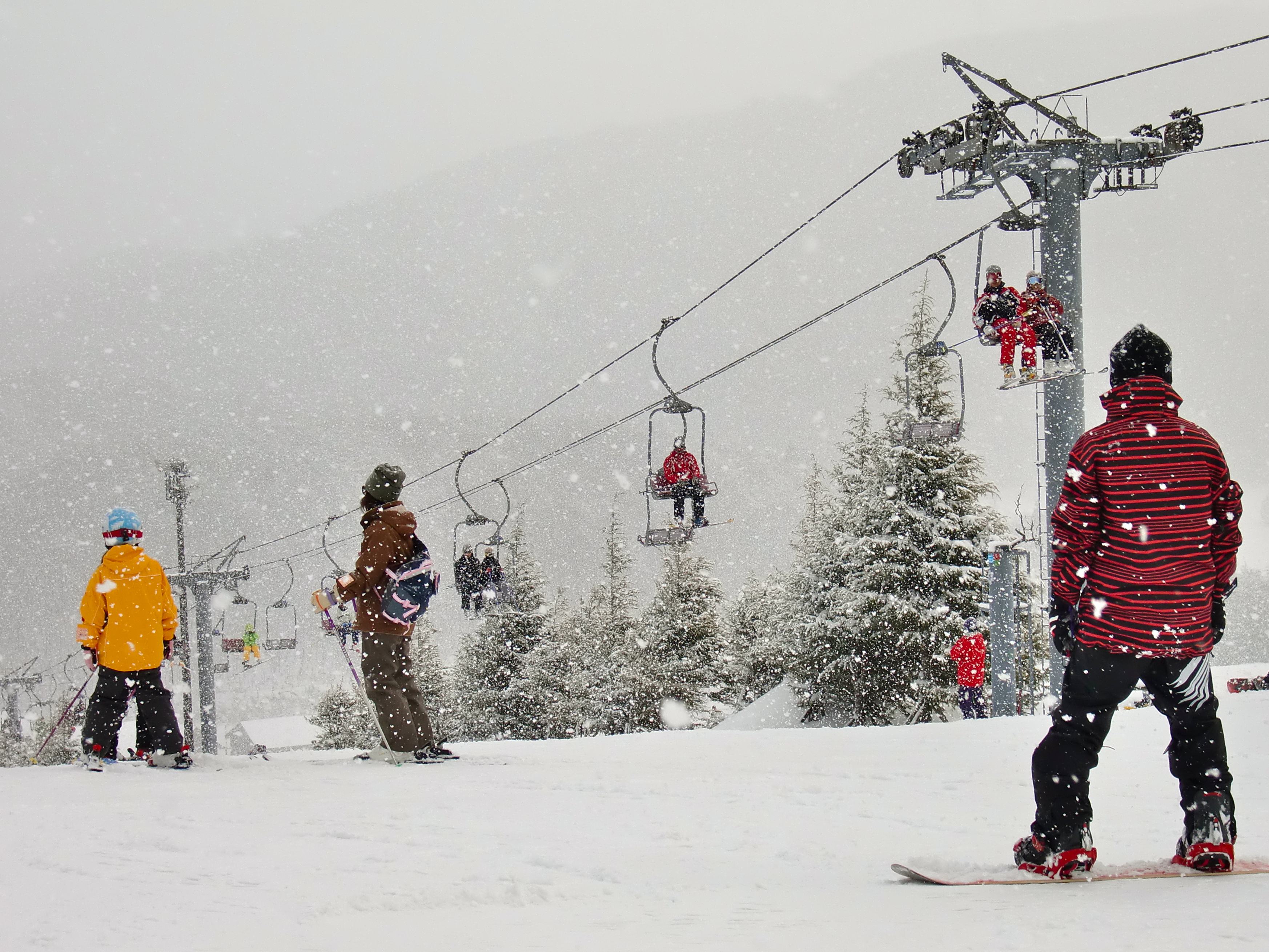 A snowboarder skillfully descends a snowy slope in Osa, a picturesque town situated in Japan's Chūgoku region, Kitahiroshima, within the Yamagata District of Hiroshima, on the island of Honshu.