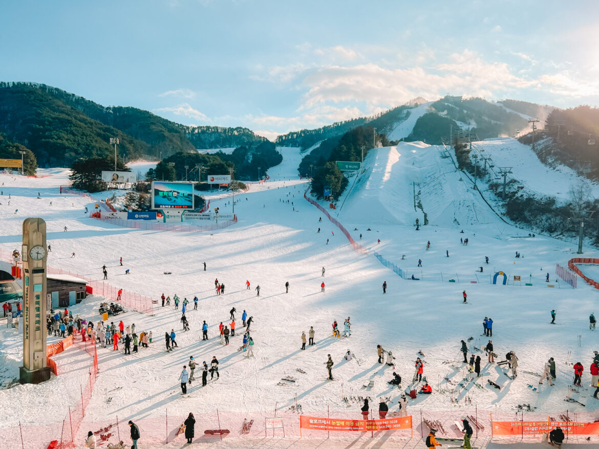 Yangji Pine Resort in South Korea - a group of people skiing down a snowy slope.
