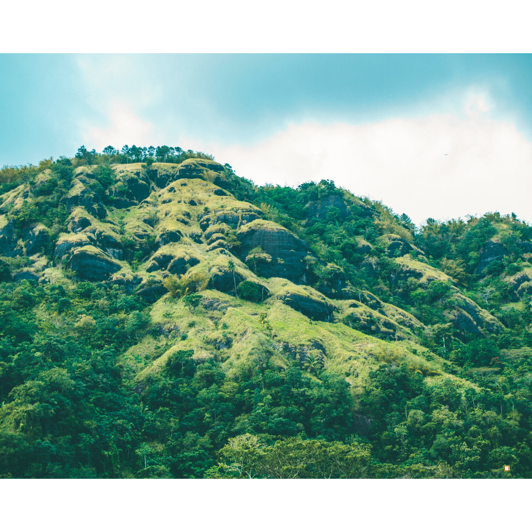 St Mary in Japan - a mountain with trees on top of it.