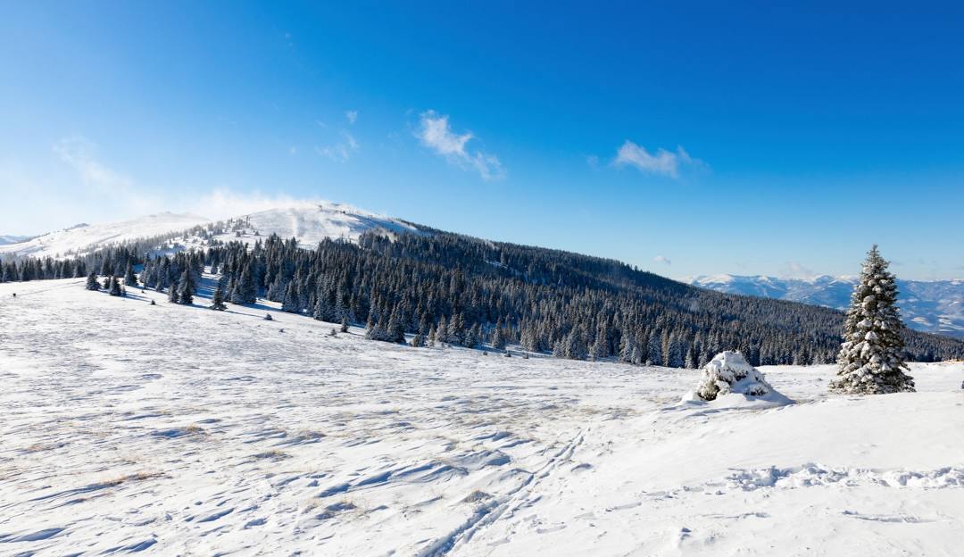 A vibrant winter sports scene at Weinebene ski resort in Lower Carinthia, Austria, featuring a charming chalet amidst stunning winter scenery.