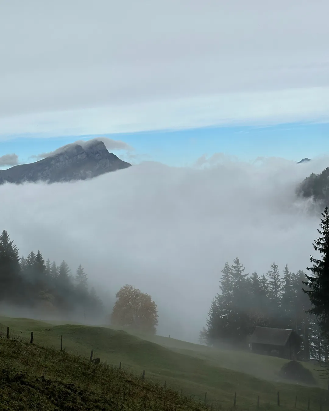 Eggberge in Switzerland - a mountain covered in fog with trees in the fore.