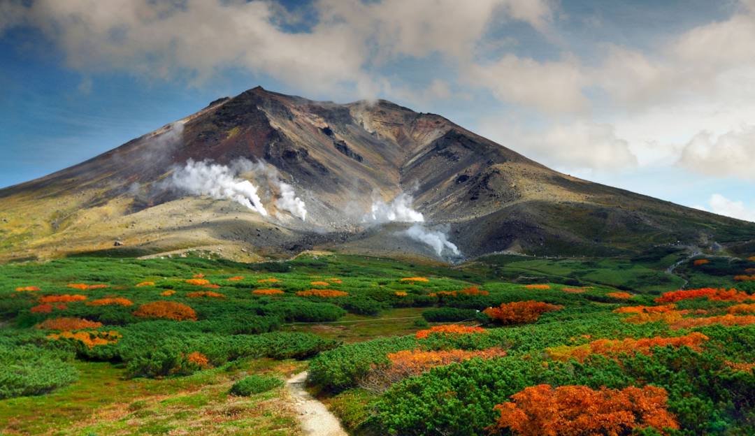 Asahidake in Japan - a mountain covered in orange flowers.