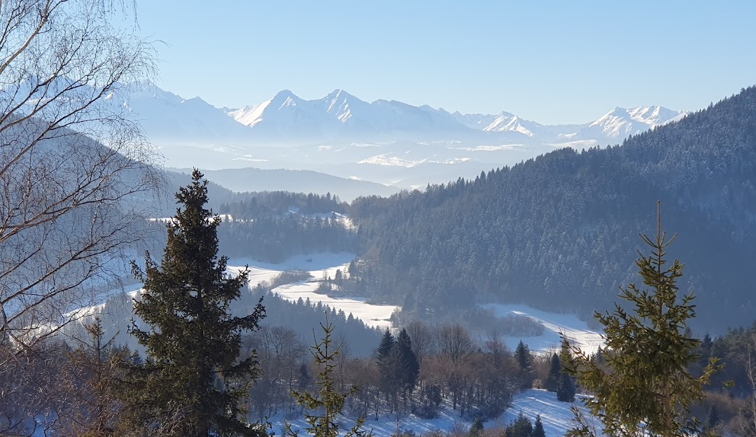 Winter sports scene at Palenica in Szczawnica, Poland featuring a charming challet nestled in a snowy mountain landscape with an overall beautiful winter scenery.
