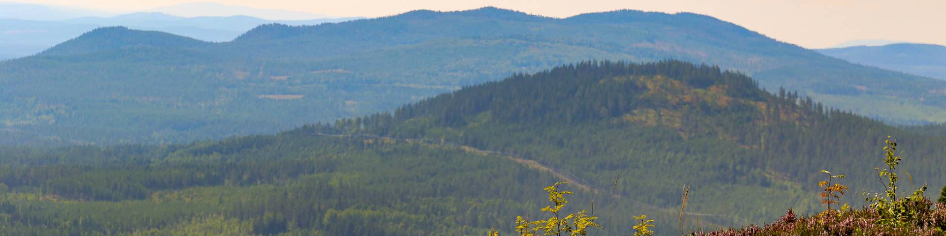 A mountain biker enjoying a sunny day at Gesundaberget in Sollerön, Central Sweden, with a charming chalet and mountain in the backdrop.