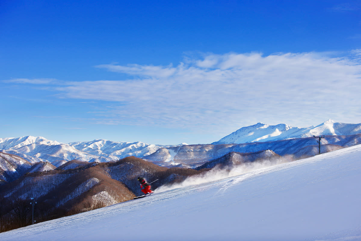 A skier amidst a picturesque winter scene at Okutone Snow Park, Kantō, Japan. The ski resort features a charming chalet, set against a serene white landscape.