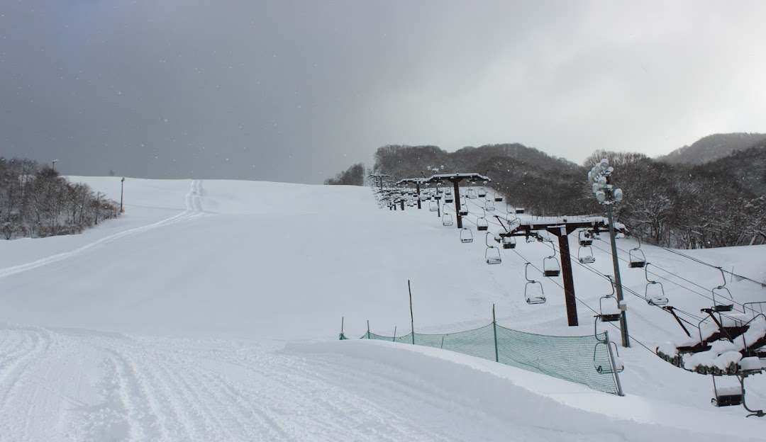 Winter sports enthusiasts enjoy a day at Okutone Snow Park, a popular ski resort in Japan. The image showcases snow-laden slopes amidst scenic winter landscape, providing a vibrant atmosphere for winter sports.