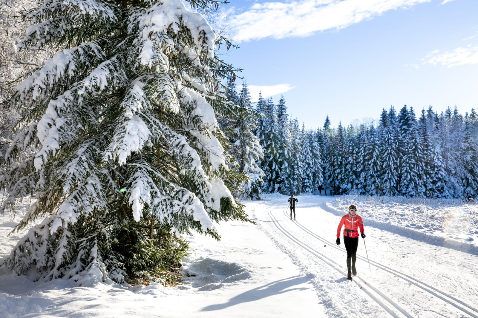 Terre-Ronde in France - a person cross country skiing in the snow.