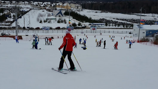 A skier swooshing down a slope at Sorochany winter sports centre in Kurovo, Moscow, Russia. The surrounding is characterized by a cozy chalet and the mesmerizing atmosphere of a ski resort.