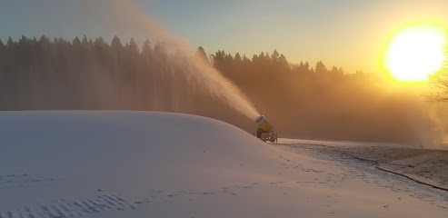 A lively winter sports scene at Sorochany in Kurovo Moscow; featuring a snowmobile amidst the stunning white winter scenery of a ski resort.