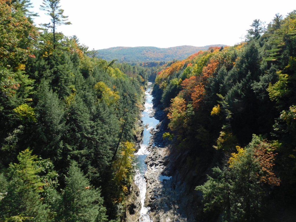 Quechee in USA - a river running through a forest filled with trees.