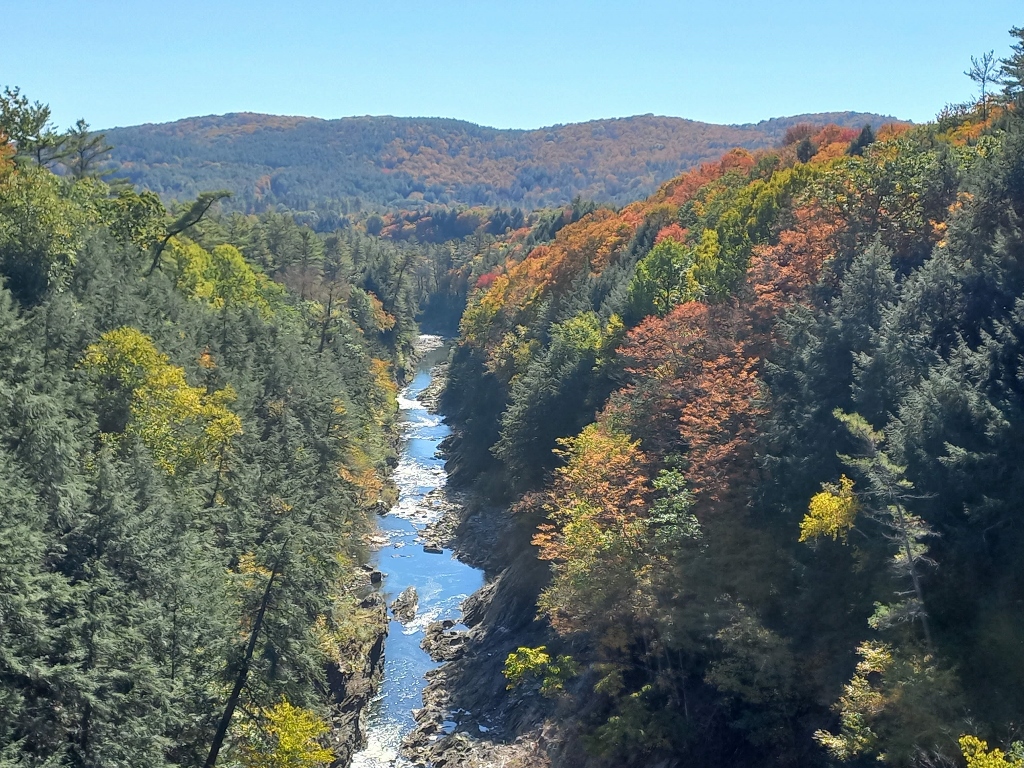 Quechee in USA - a river flowing through a forest filled with trees.