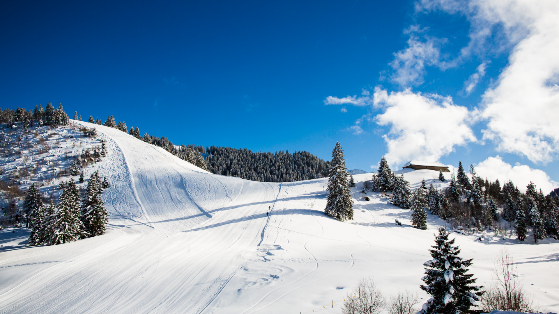 Winter sports enthusiasts enjoying their time at Les Paccots, a popular ski resort in Fribourg, Switzerland, complete with a charming chalet and picturesque winter scenery.