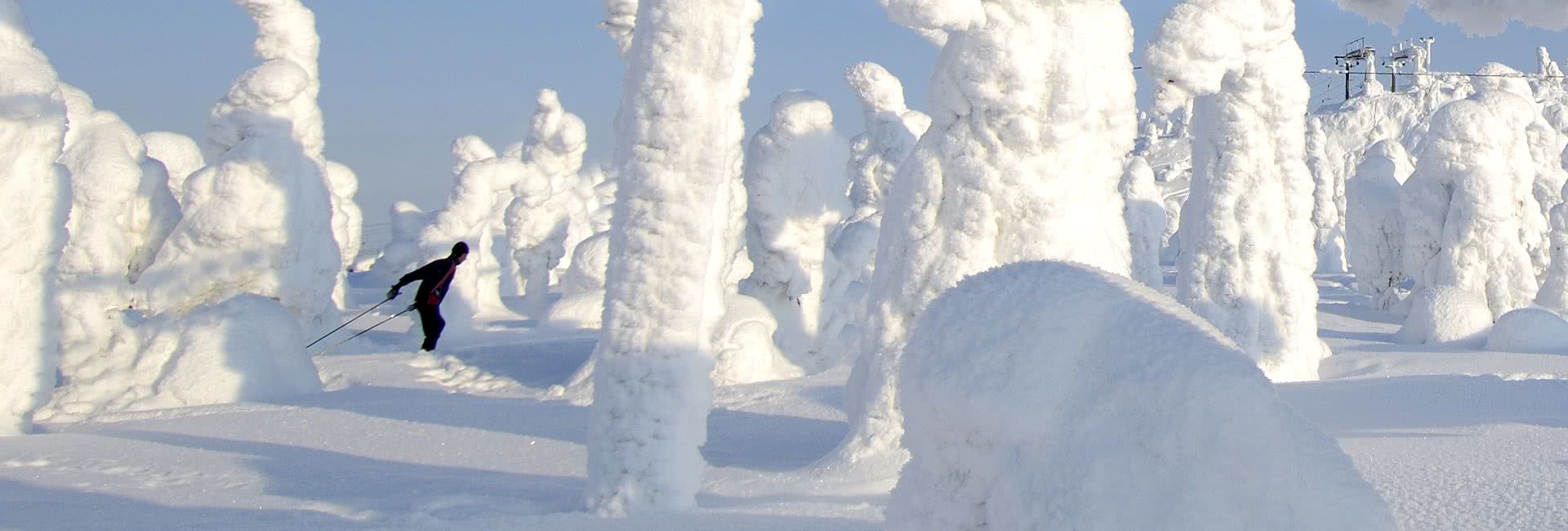 Iso-Syöte in Finland - the trees are covered in snow.