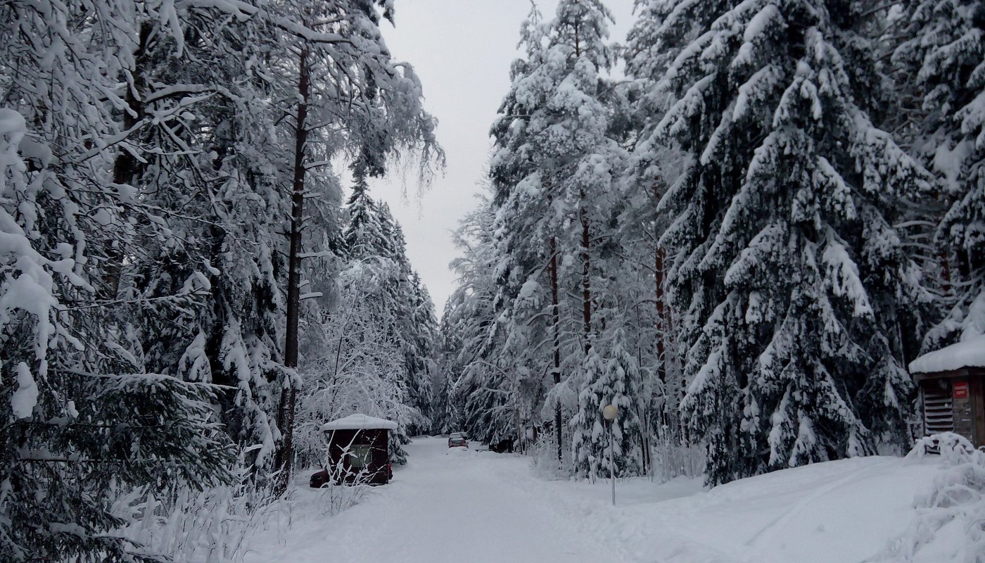Winter scene at Krasnoye Ozero in Northwest Russia with a sweeping snowy landscape and an active winter sports scene with a chalet nestled amidst the frosty terrain.
