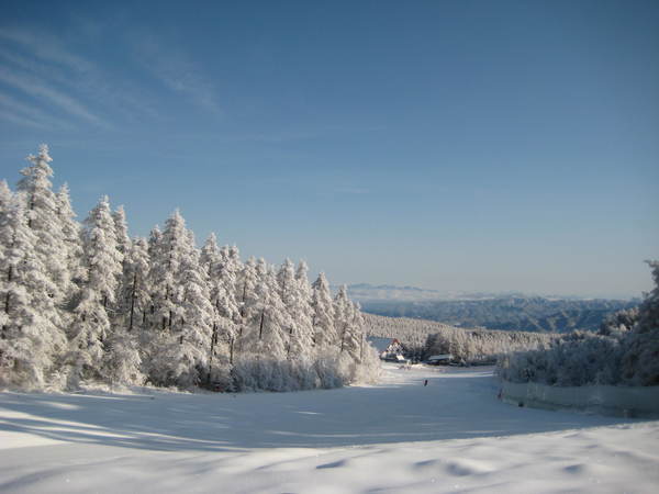 A scenic winter view at Chateraise Ski Valley Koumi, Japan, featuring stunning snowy landscapes, active winter sports scene, and a charming chalet.
