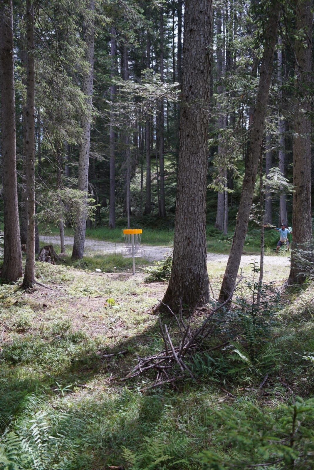 Katzenkopf Leutasch in Austria - a yellow sign in the middle of a forest.