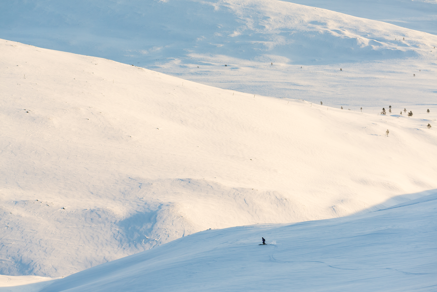 Pallas in Finland - a group of people skiing down a snowy slope.