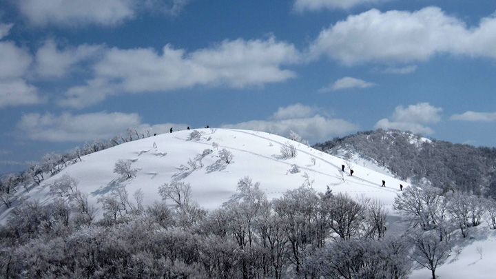 Kanazawa Municipal in Japan - a snow covered mountain with trees in the fore.