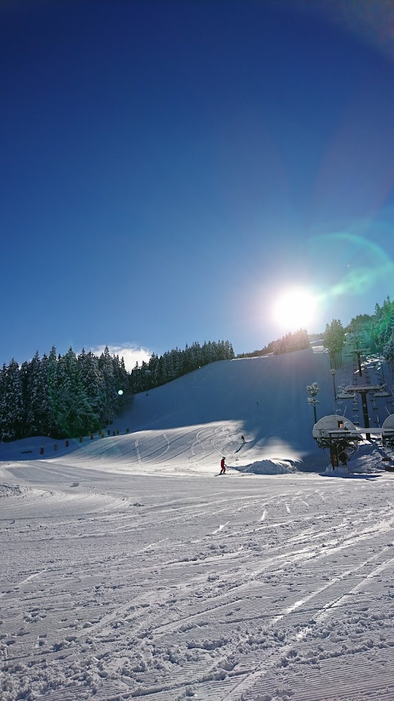 Yuzawa Park in Japan - a person is skiing down a snowy hill.