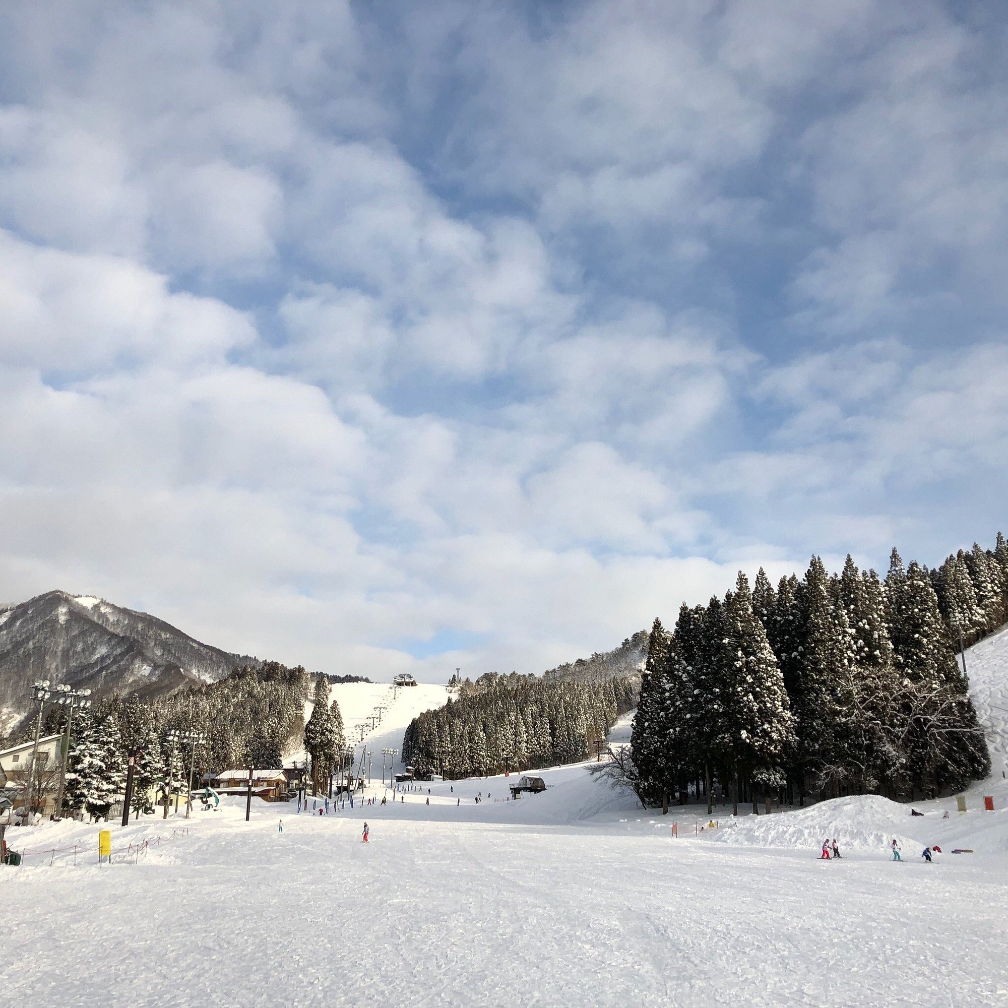 Yuzawa Park in Japan - a group of people skiing down a snowy hill.