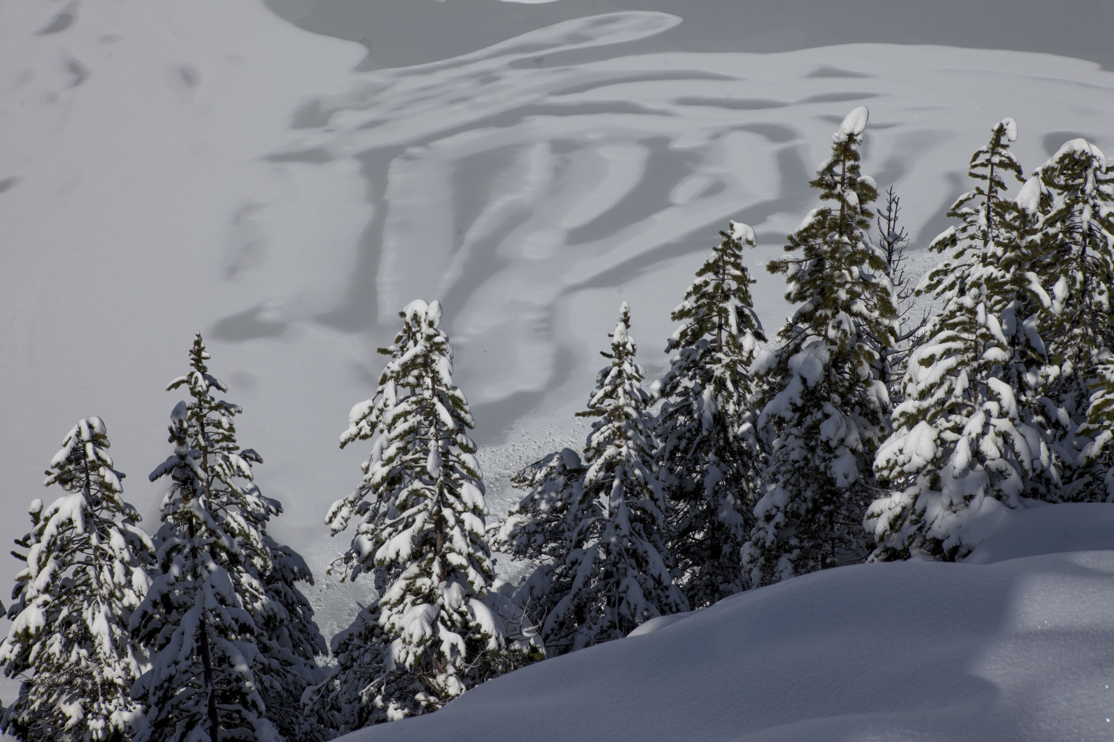 Vall de Núria in Spain - a person on a snowboard in the snow.