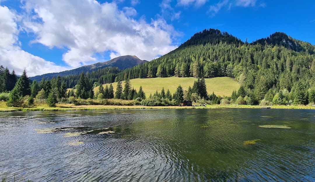 Hohentauern in Austria - a river in the middle of a forest.
