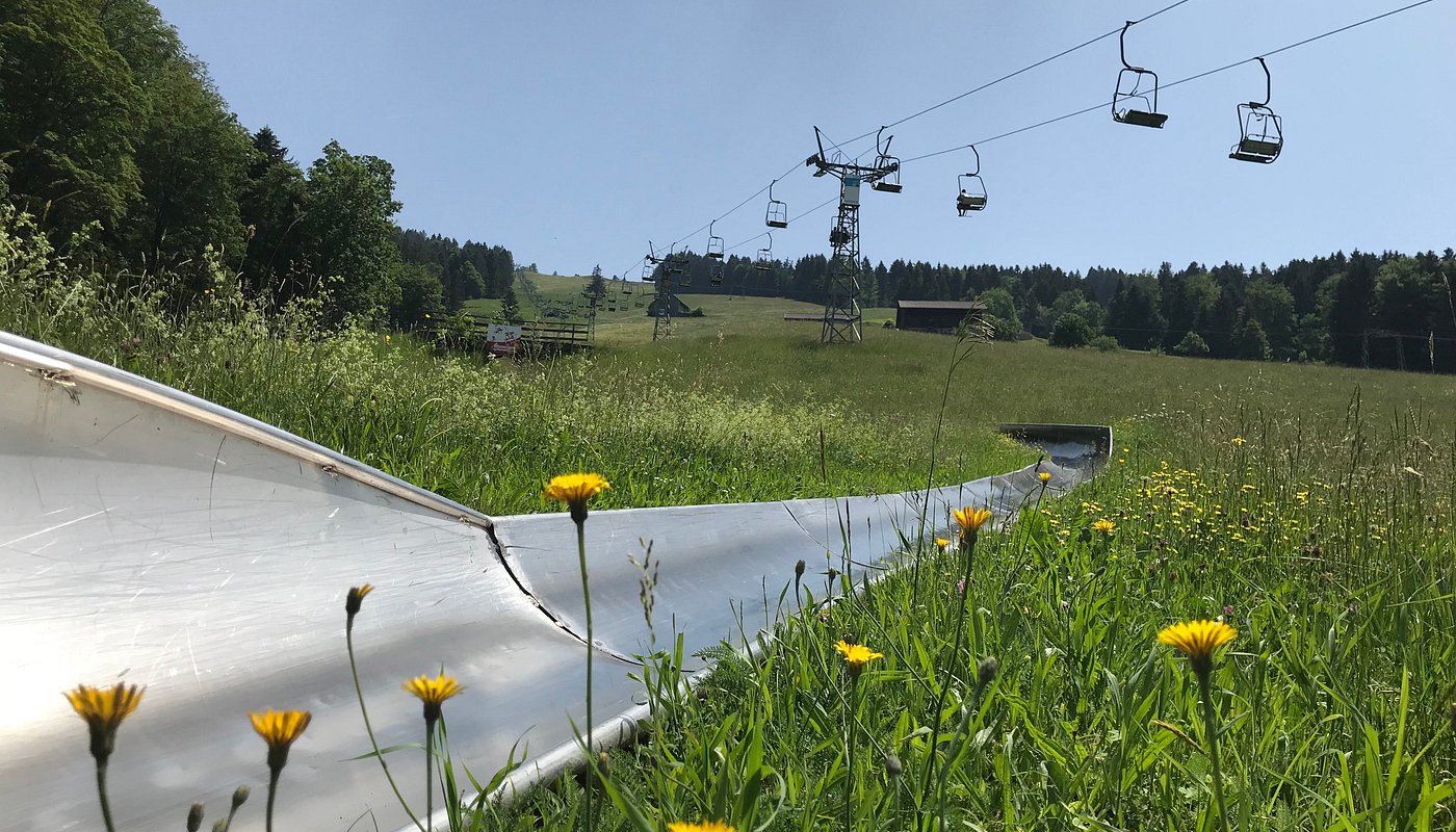 Atzmännig in Switzerland - a ski lift going up a hill with yellow flowers.