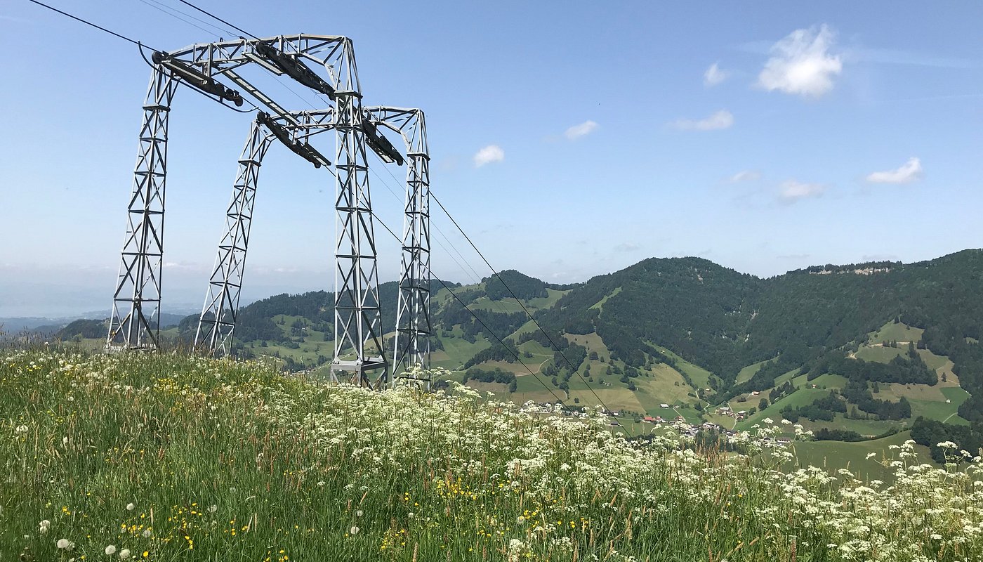 Atzmännig in Switzerland - a ski lift going up a hill covered in wildflowers.